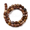 Natural Petrified Wood Beads Strands G-L621-C11-01-3