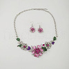 Flower Alloy Rhinestone Jewelry Set FS-WGD5AB0-01-2
