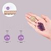 Natural Amethyst Beads Strands G-NB0001-16-2