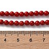 Shell Pearl Beads Strands BSHE-XCP0001-74B-5