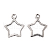 Tarnish Resistant 201 Stainless Steel Charms STAS-K217-05-1