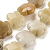Natural Topaz Jade Beads Strands G-F769-J01-01-1