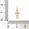 Brass Micro Pave Cubic Zirconia Pendants ZIRC-I356-17G-A11-3
