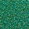 MIYUKI Delica Beads SEED-X0054-DB0858-3