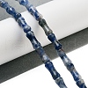 Natural Blue Spot Jasper Beads Strands G-Q178-A16-01-2