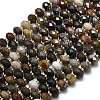 Natural Petrified Wood Beads Strands G-P573-A32-01-2