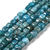 Natural Apatite Beads Strands G-P457-B01-14-2