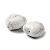 Natural Howlite Beads G-L583-A02-3