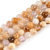 Natural Cherry Blossom Agate Beads Strands G-H062-A02-01-2