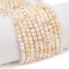 Natural Freshwater Shell Beads Strands X-SHEL-T011-02-4mm-1