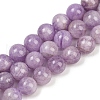 Natural Amethyst Beads Strands G-F792-C08-01-2