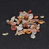 Natural Carnelian Chip Beads G-O103-18-4