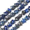 Natural Lapis Lazuli Star Beads Strands G-Z080-A05-2