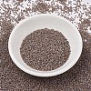 MIYUKI Delica Beads SEED-X0054-DB1749-1