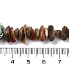Natural Paua Shell Beads Strands BSHE-B007-05-4
