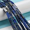 Natural Lapis Lazuli Beads Strands G-C084-C01-01-2