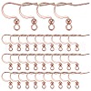 SUNNYCLUE 100Pcs 316 Surgical Stainless Steel Earring Hooks STAS-SC0006-43-1