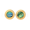 304 Stainless Steel Natural Paua Shell Stud Earrings EJEW-Z103-04G-01-4
