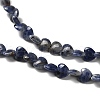 Natural Sodalite Beads Strands G-P575-C15-6mm-4