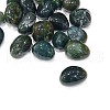 Natural Moss Agate Beads G-G979-A24-2