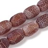Natural Weathered Agate Beads Strands G-NH0047-B02-02-2