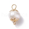 Natural Cultured Freshwater Pearl Beads Links Connectors PALLOY-JF01260-3