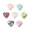 Imitation Gemstone Acrylic Pendants PALLOY-JF03955-01-1