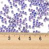 Glass Seed Beads X1-SEED-S042-04A-08-4