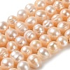 Natural Cultured Freshwater Pearl Beads Strands PEAR-E018-26-1