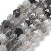 Natural Cloudy Quartz Beads Strands G-G030-A05-01-1