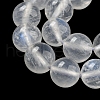 Natural Rainbow Moonstone Round Bead Strands G-M263-C-02A-4