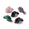 Natural Mixed Stone Display Decorations DJEW-G031-01-1
