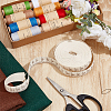 10 Yards Printed Ruler Polyester Ribbon OCOR-WH0070-147-5