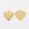 201 Stainless Steel Charms STAS-F162-20G-2