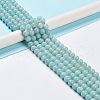 Grade A Natural Amazonite Beads Strands G-C046-01C-2