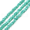 Opaque Solid Color Glass Beads Strands GLAA-N052-01-A09-1