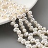 Natural Cultured Freshwater Pearl Beads Strands PEAR-A006-27-1