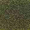 TOHO Round Seed Beads SEED-TR11-0457-2