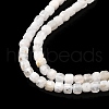 Natural Rainbow Moonstone Beads Strands G-G140-C01-02-3