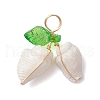 Natural Sea Shell Copper Wire Wrapped Pendants PALLOY-JF03611-02-3
