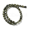 Natural Serpentine/Green Lace Stone Beads Strands G-M420-D18-01-3