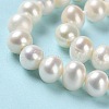 Natural Cultured Freshwater Pearl Beads Strands PEAR-E018-99-4