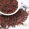 Glass Seed Beads X1-SEED-H002-B-D205-1