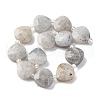 Natural Labradorite Beads Strands G-P570-E18-02-3