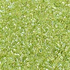 MIYUKI Delica Beads X-SEED-J020-DB0174-1