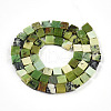 Natural Serpentine Beads Strands G-N346-05A-06-3