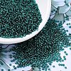 MIYUKI Round Rocailles Beads SEED-X0054-RR0030-4