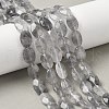 Natural Cloudy Quartz Beads Strands G-F790-B02-01-1