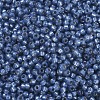 MIYUKI Round Rocailles Beads X-SEED-G007-RR0648-3