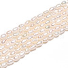 Natural Cultured Freshwater Pearl Beads Strands PEAR-N012-02Y-01-5